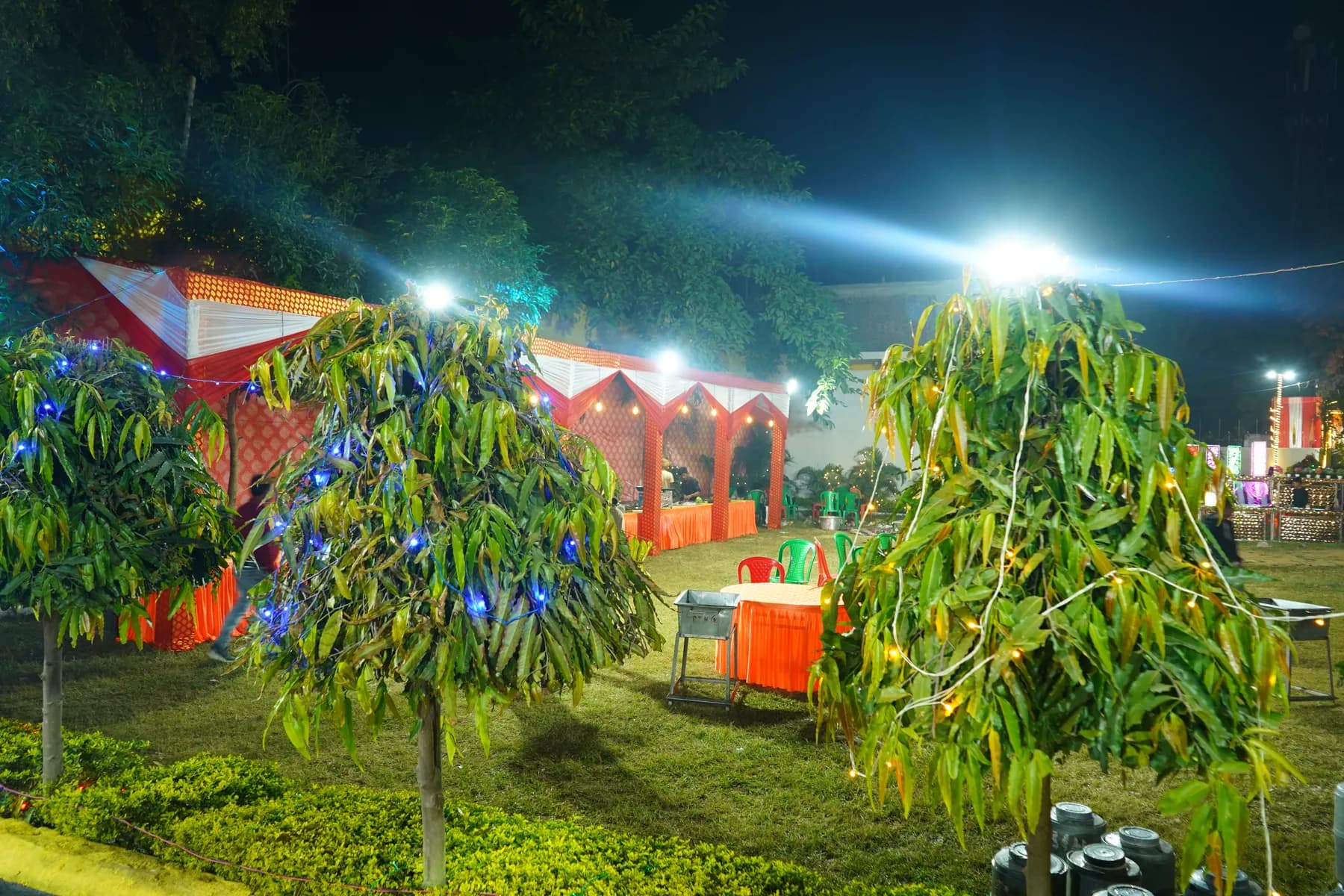 Garden with fairy lights in the evening